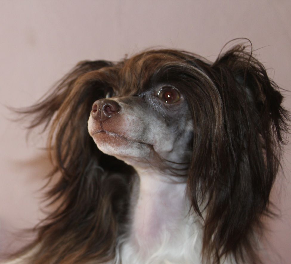 The Rebel Queen for L'Essence de Mon Tout