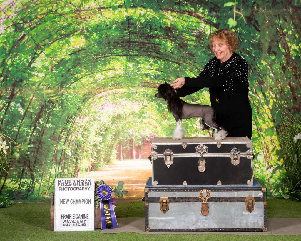 Ch Shantel's Fashion Week-You Better Work It Girl