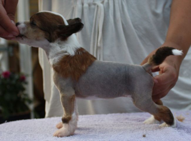 Sun-Hee's Impossible Dream