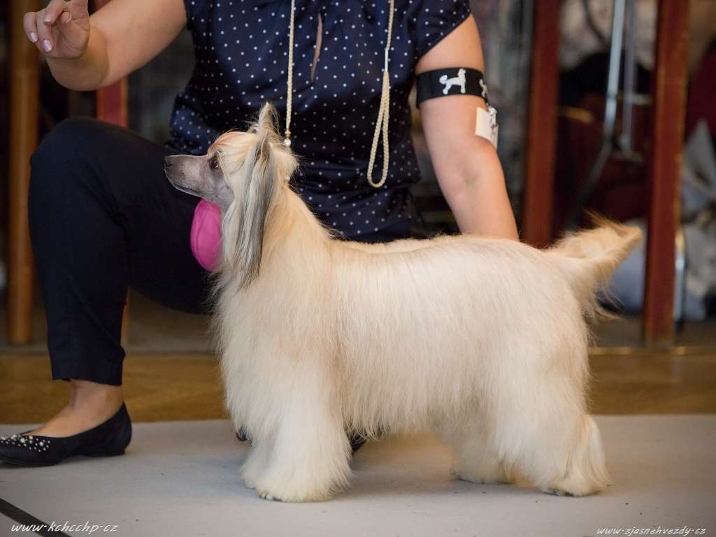 Caelestis Selectio Caramel