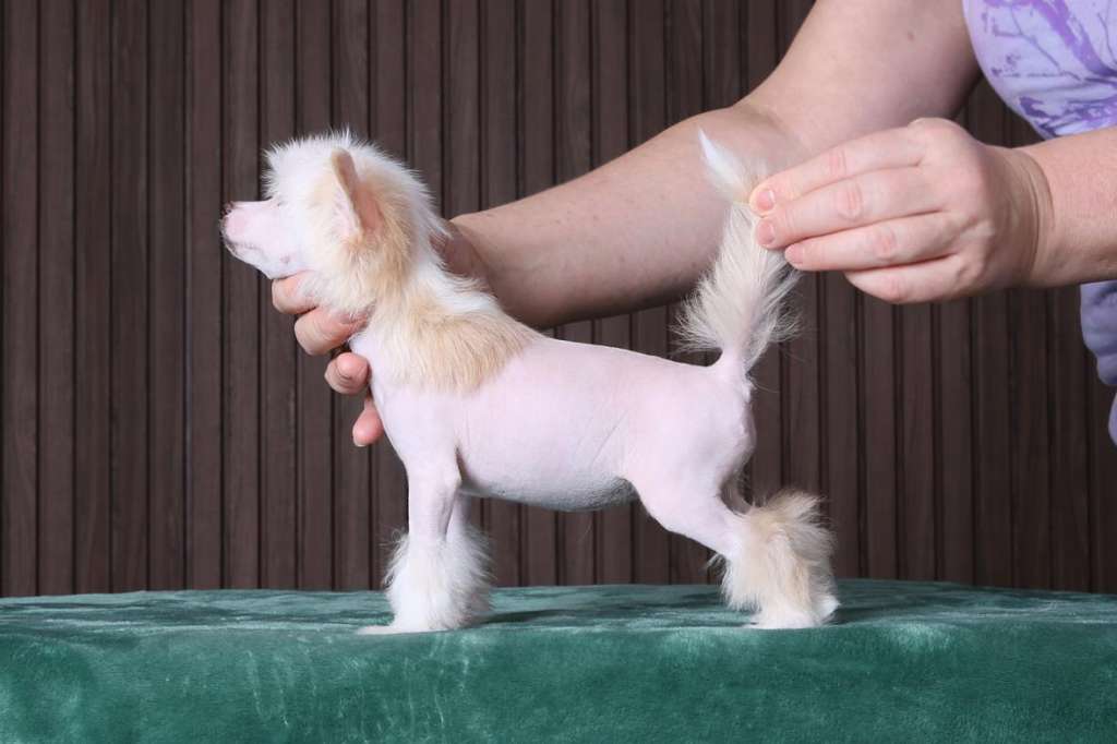 Incanto Del Mondo Off-White