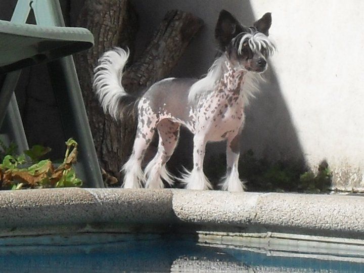 Aurora de Southerland