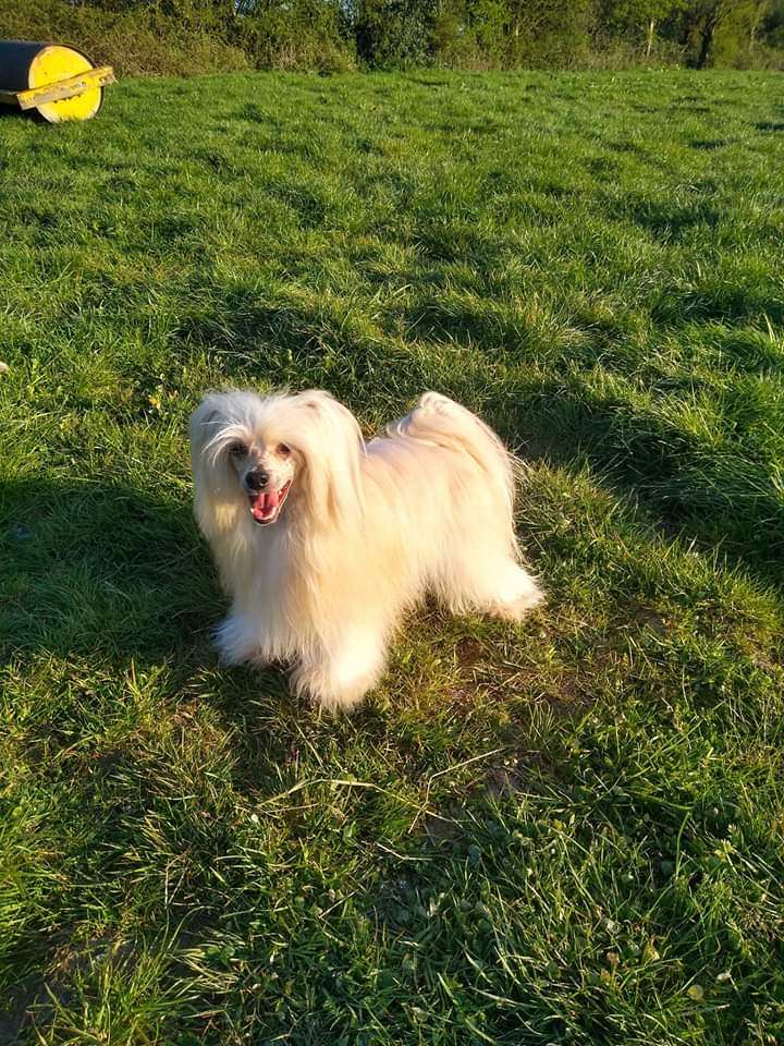 Parcauwen Secret Liaison