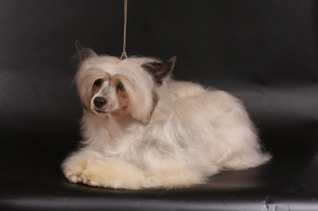 Whiskey Sweet  Brenon