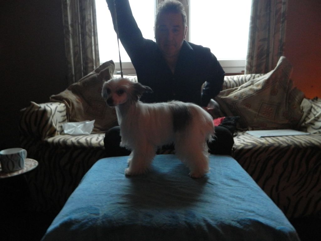 Americaz Miss Scarlet At Sigyns