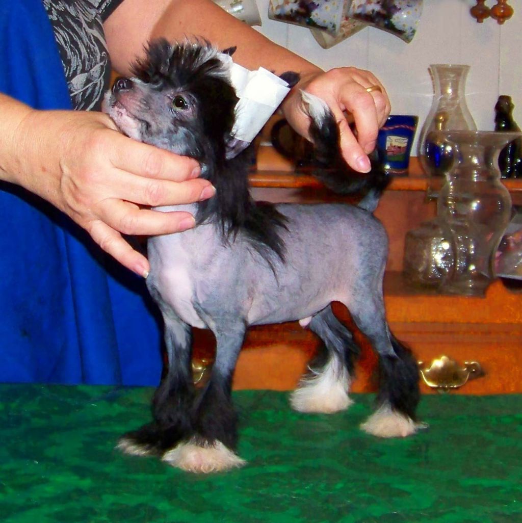 Spiritual Serenity Man About Town