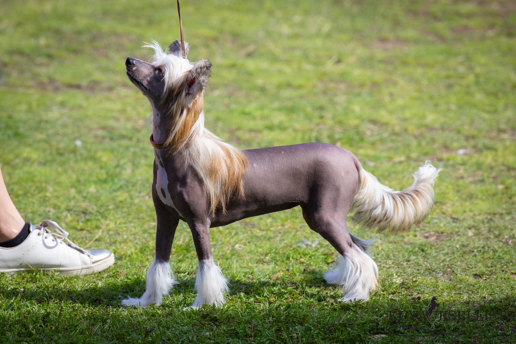 Black-Diva's I'm Not Afraid Of The Dark