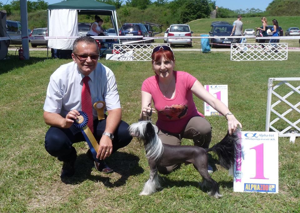 Fundoklia-völgyi Kaszanics Riley