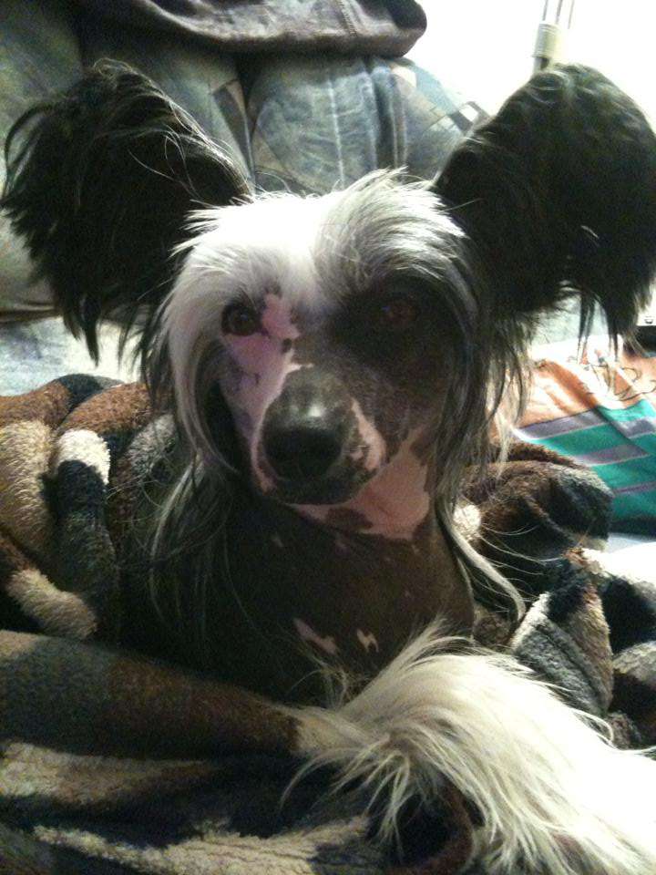 Magic Moment von Shinbashi