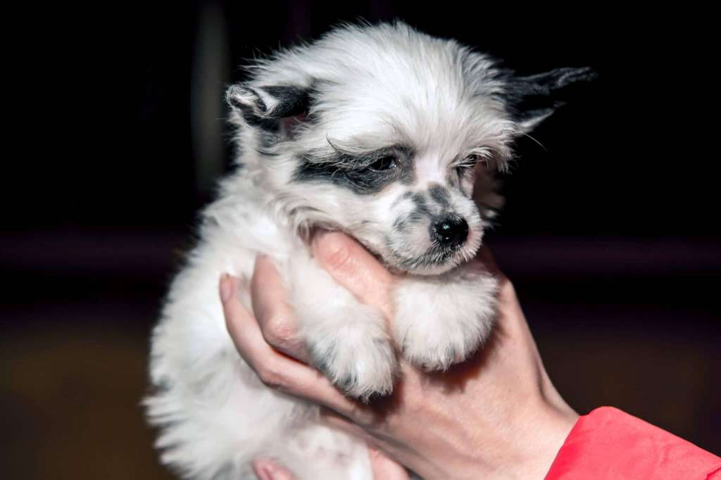 FutureLine Felicie Engie