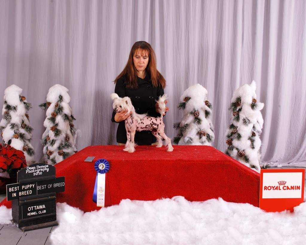 EverCrest's Patent Pending