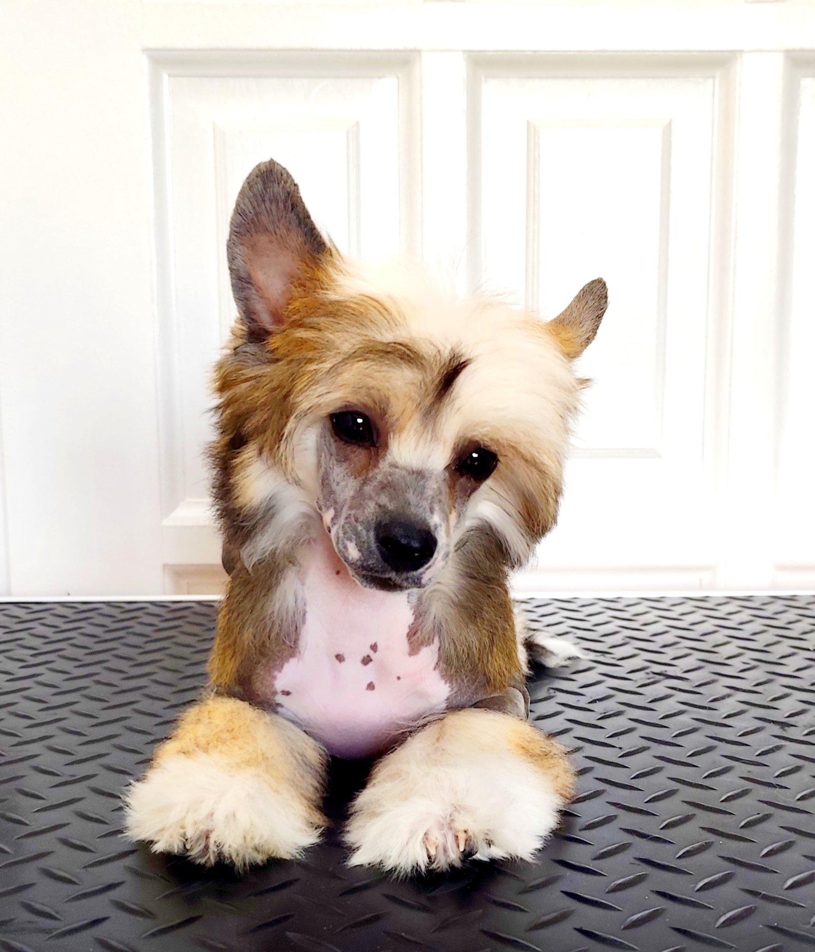 Picture