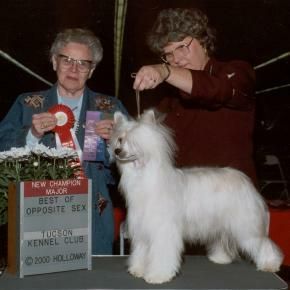 Unicorn's Over Senyo