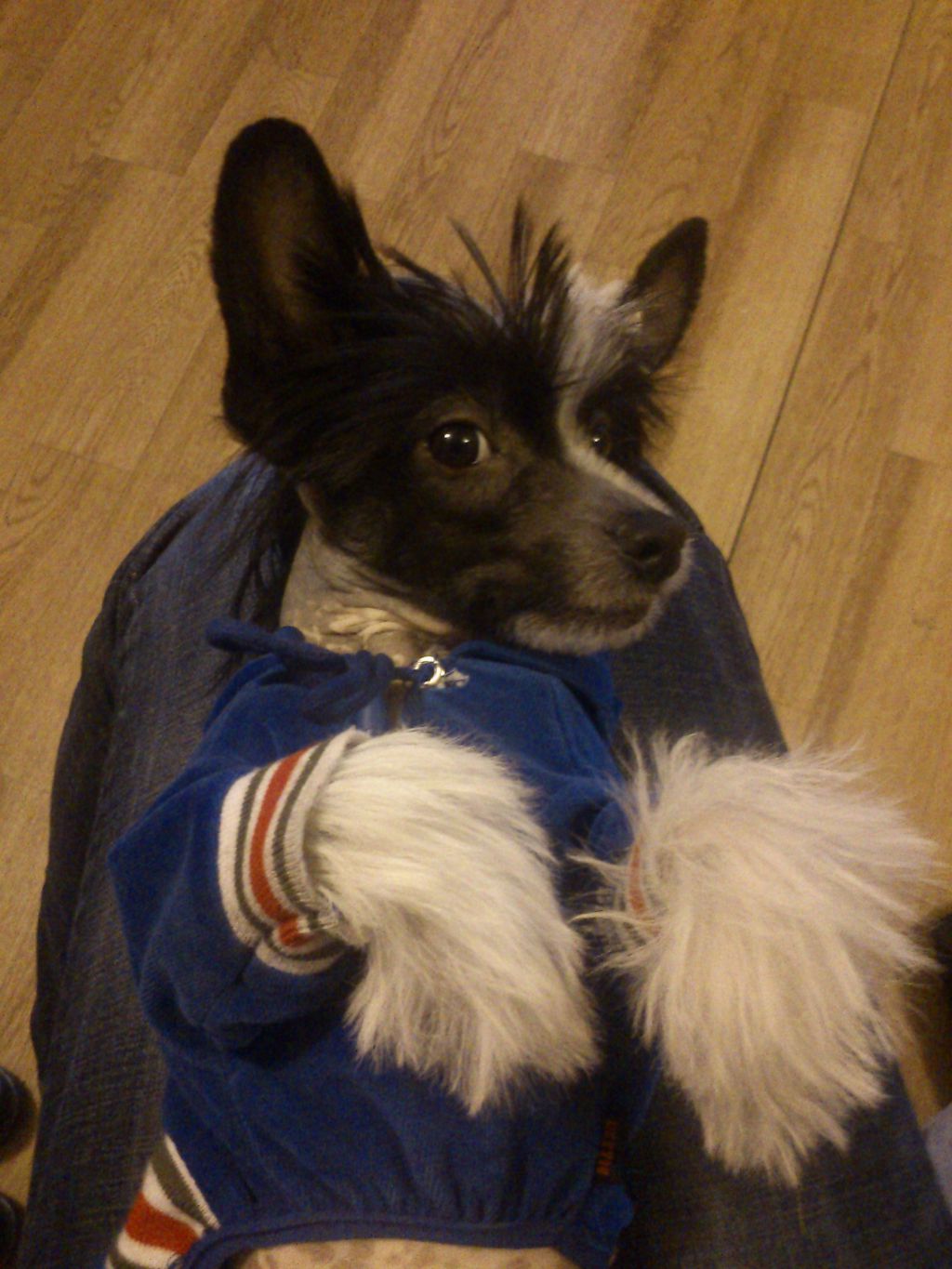 Vernisazh Mari En Ai See