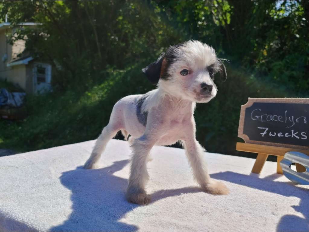 Long Haul's Show Me Your Grrr Face