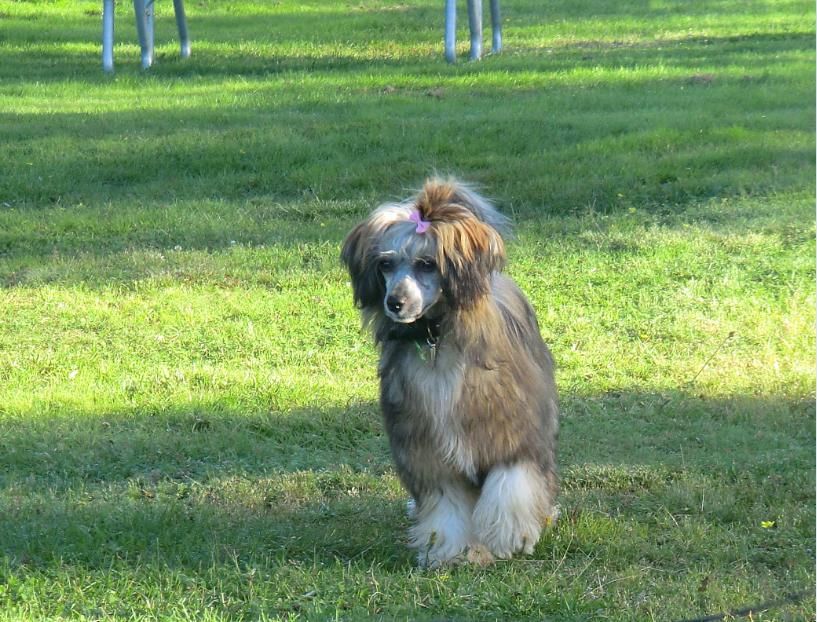 Royal Tail's One And Only