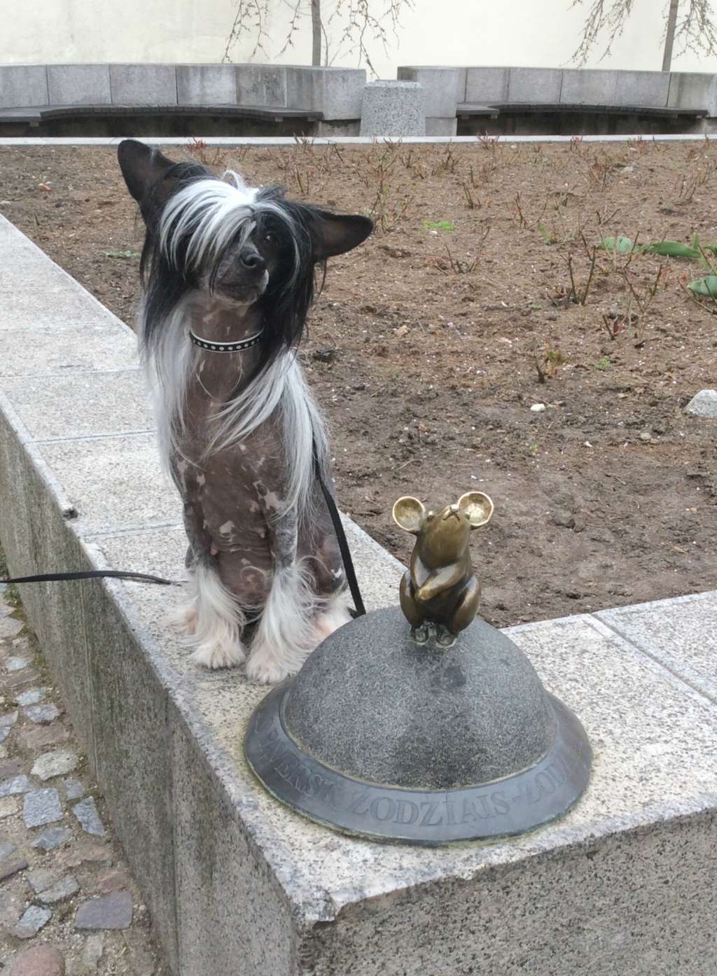 Tangomanija Diva la Vita