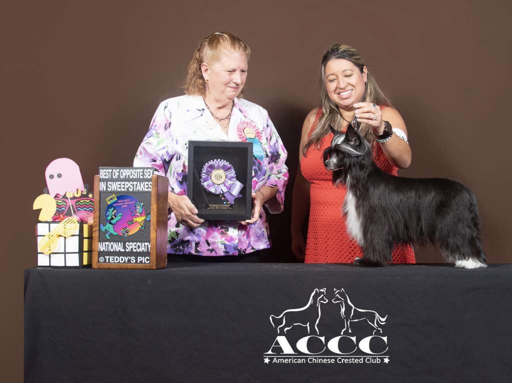 Haus of Envy's Dollface at Gaga