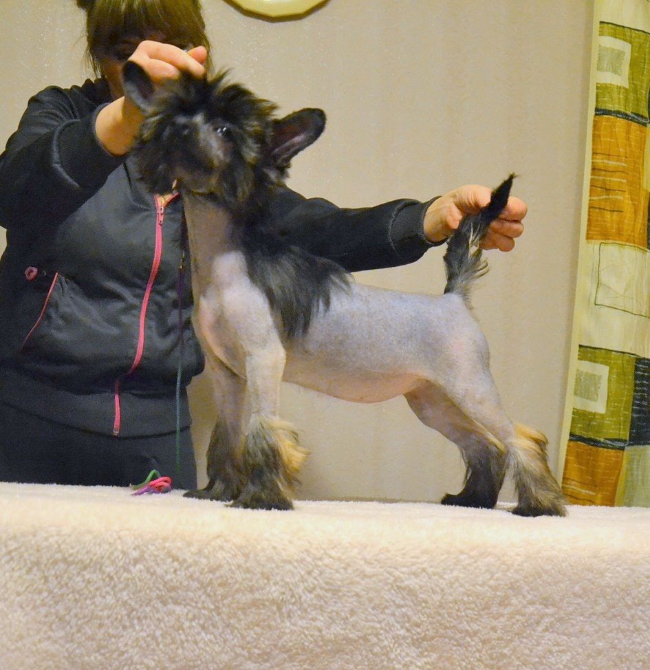 Irgen Gold Flora by Gucci