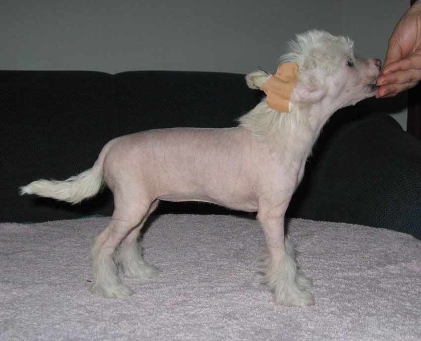 Stormblåstens Twilight Zone