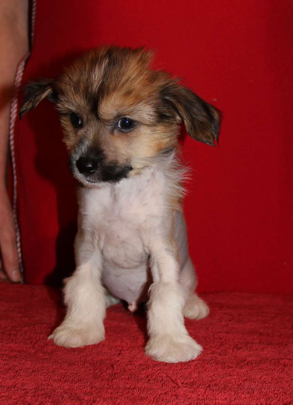 Kristal Yaniry Jack Pot