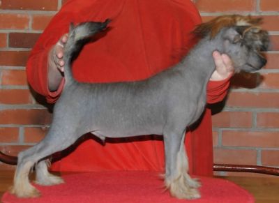 Sasquehanna (FCI) Eryks