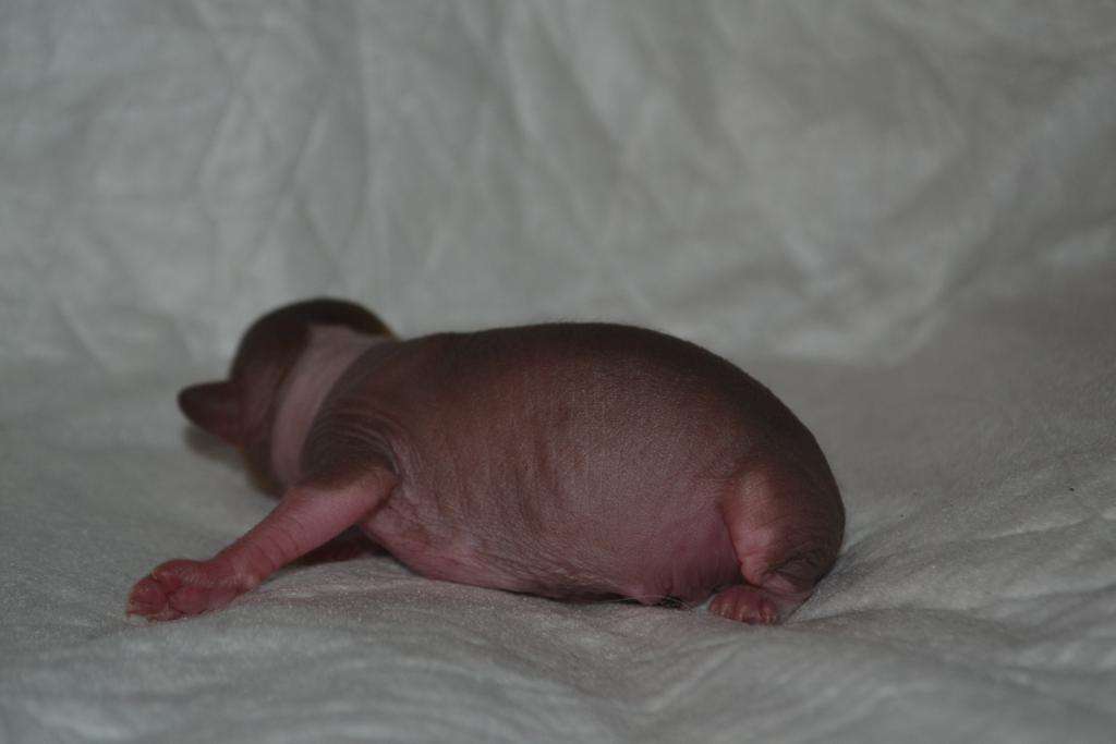 Landkris Living in pleasure