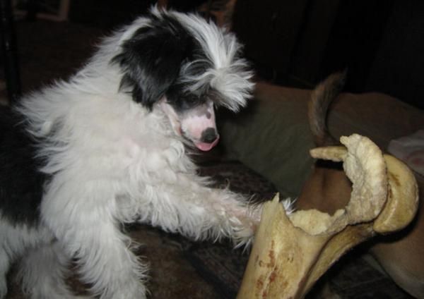 Kiss the Lady in Paris