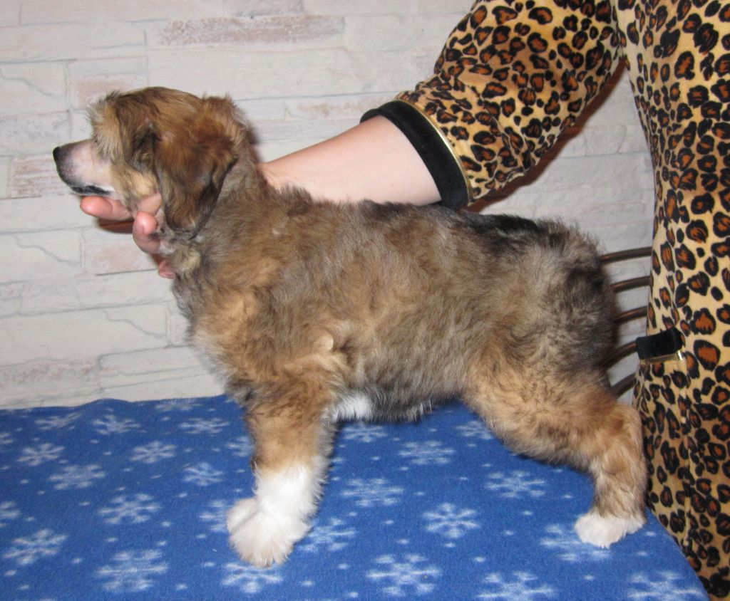 Olegro Katrin Rammstein