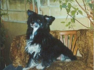 Aranka z Dalimowa raje