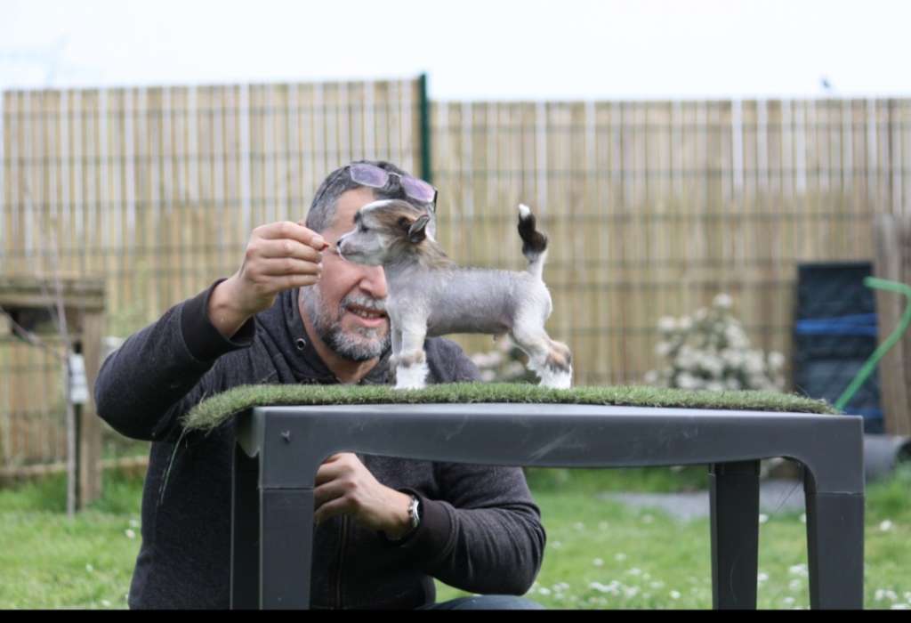 Moon Harbour Shainee