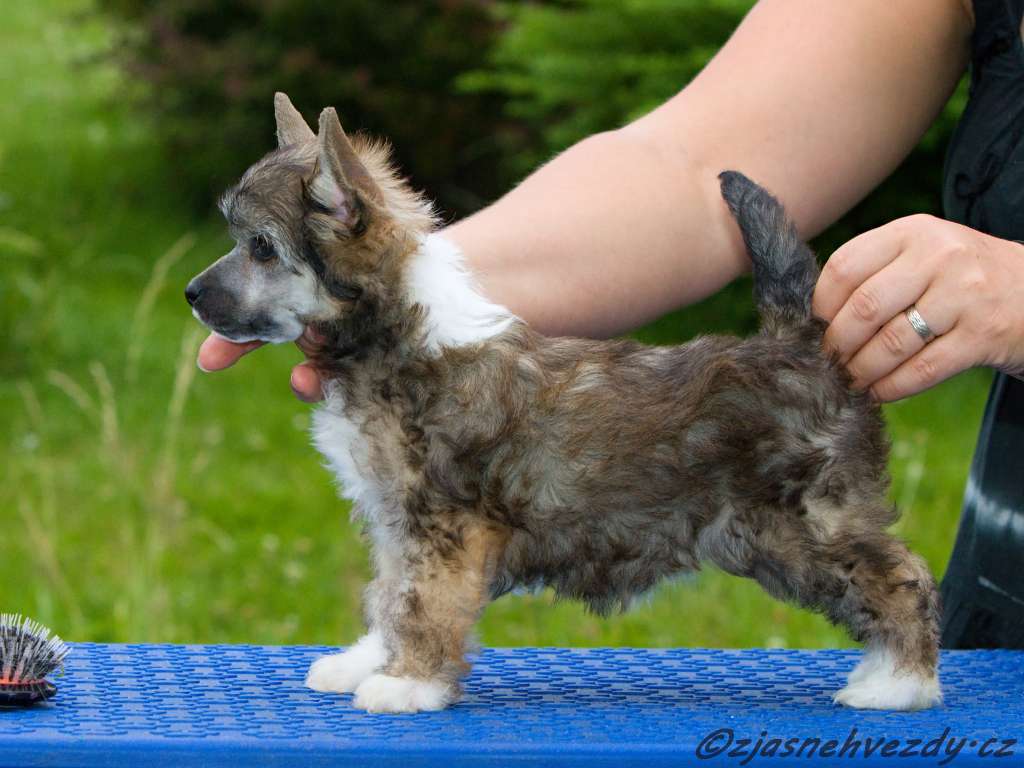 Nostalgie z Jasne hvezdy