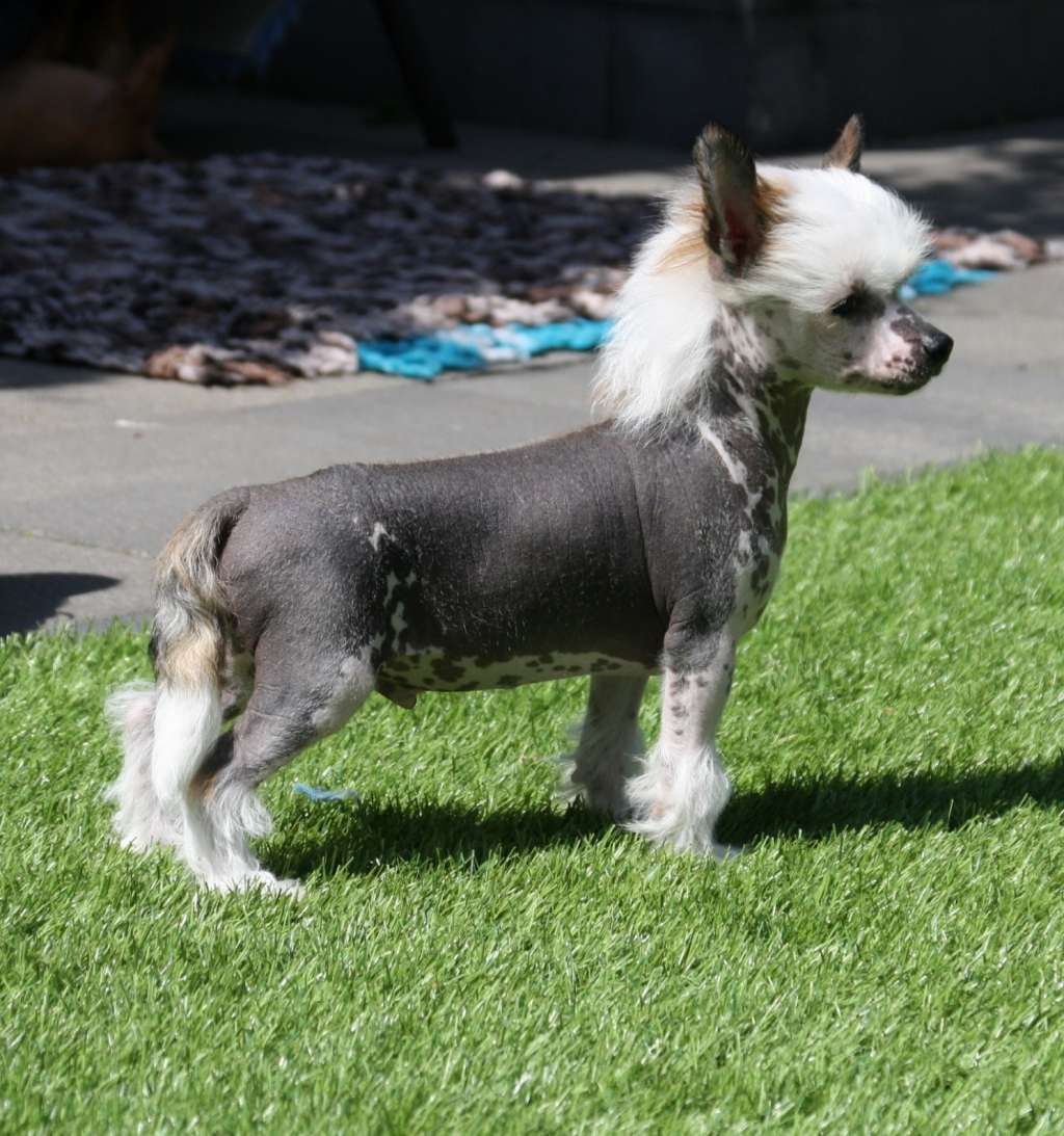 Time And Again of Angel's Legacy