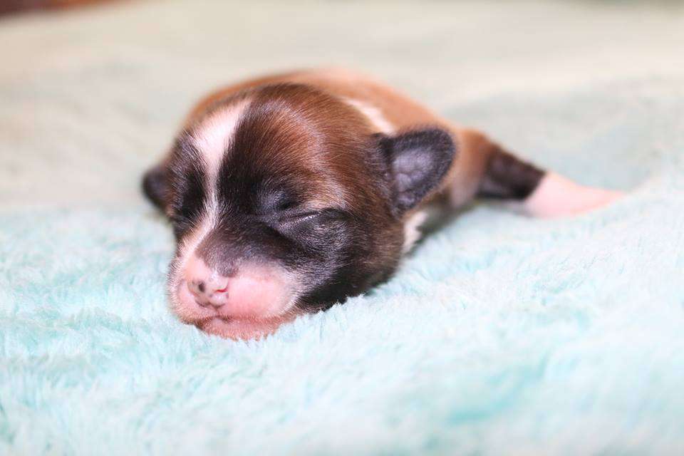 Skyclad's Know When To Hold'em