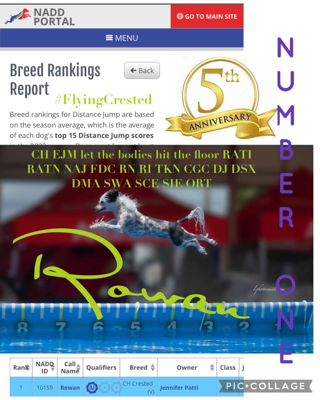 CH EJM Let The Bodies Hit The Floor - #1 Dock Divi