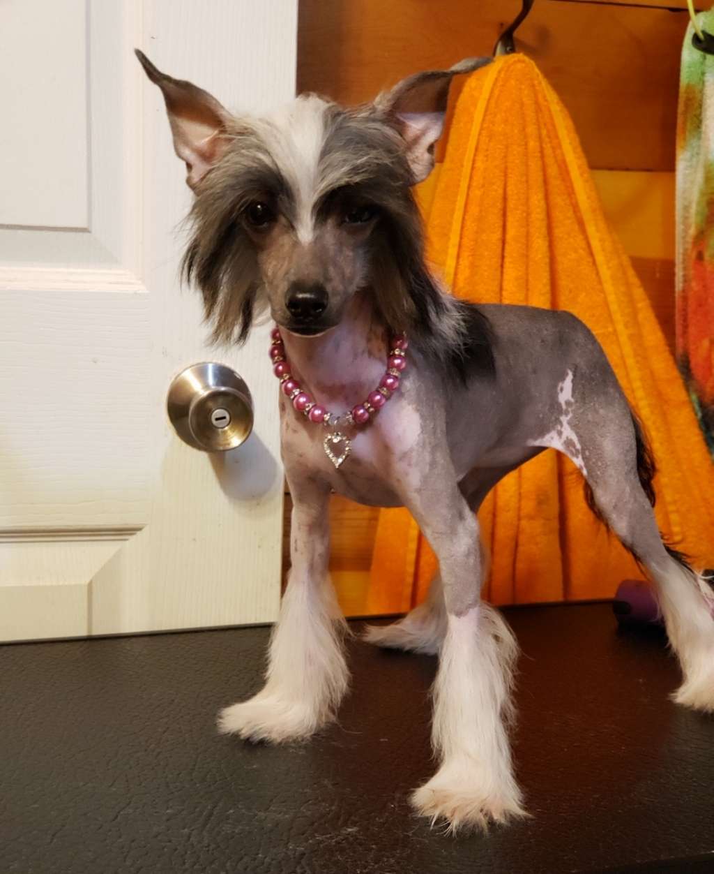 Long Haul's Winter Solstice Rising