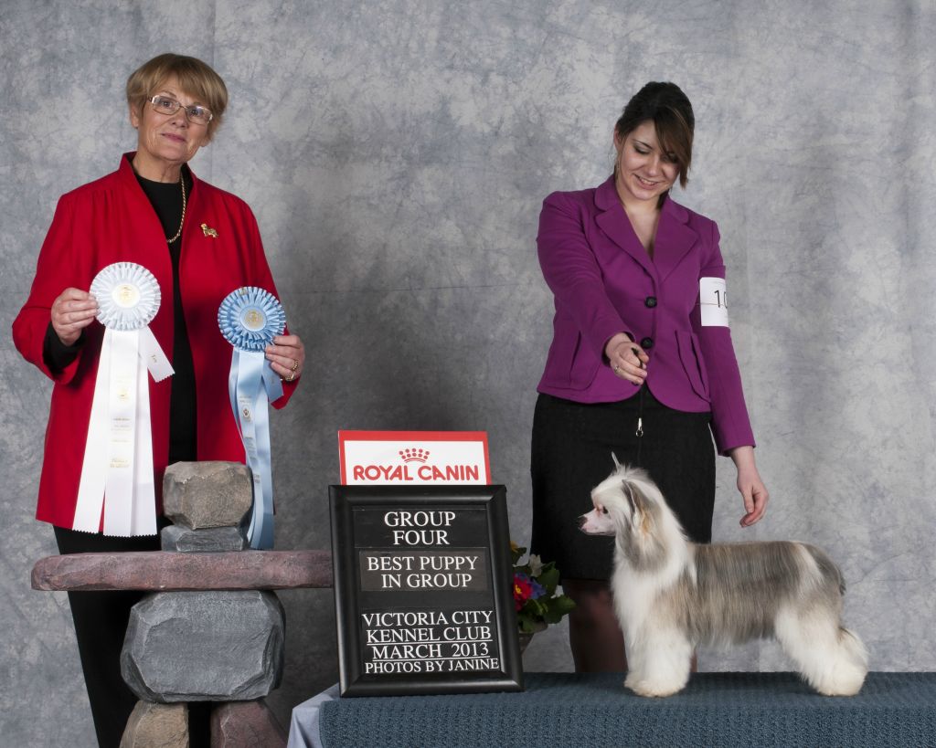 CH Taja Cara Pecan Fudge