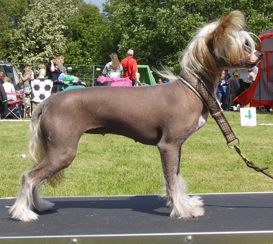 White Hevvens Smulan