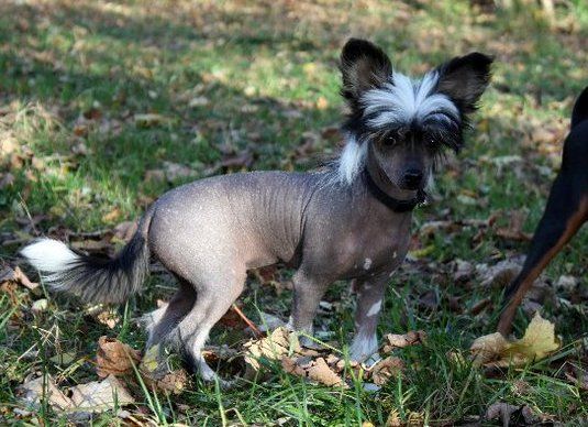 Nordlysbyen's 21 Guns