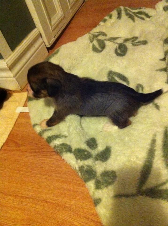 Bopar Beach of Samana