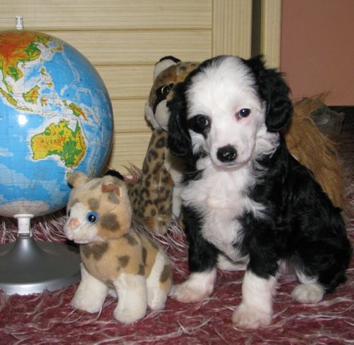 Excellent  Cool Lady