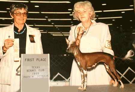 Ancha's Sound Of Music