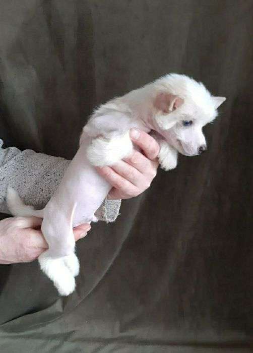 Magic of Success Sky