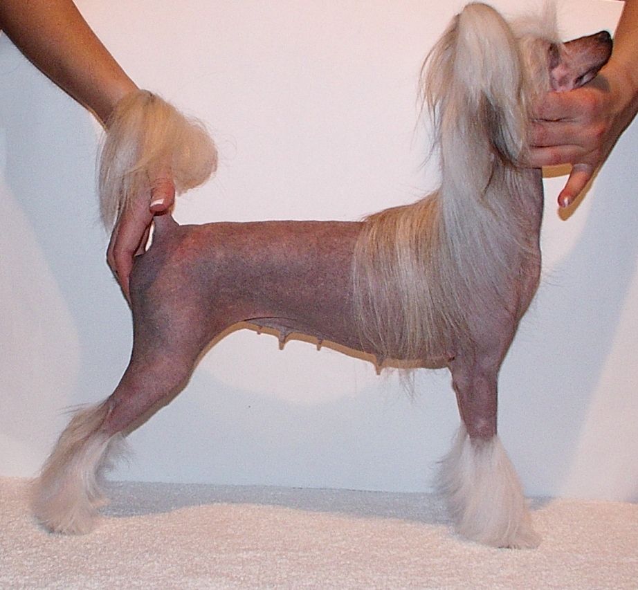 Celebrity Female Panx