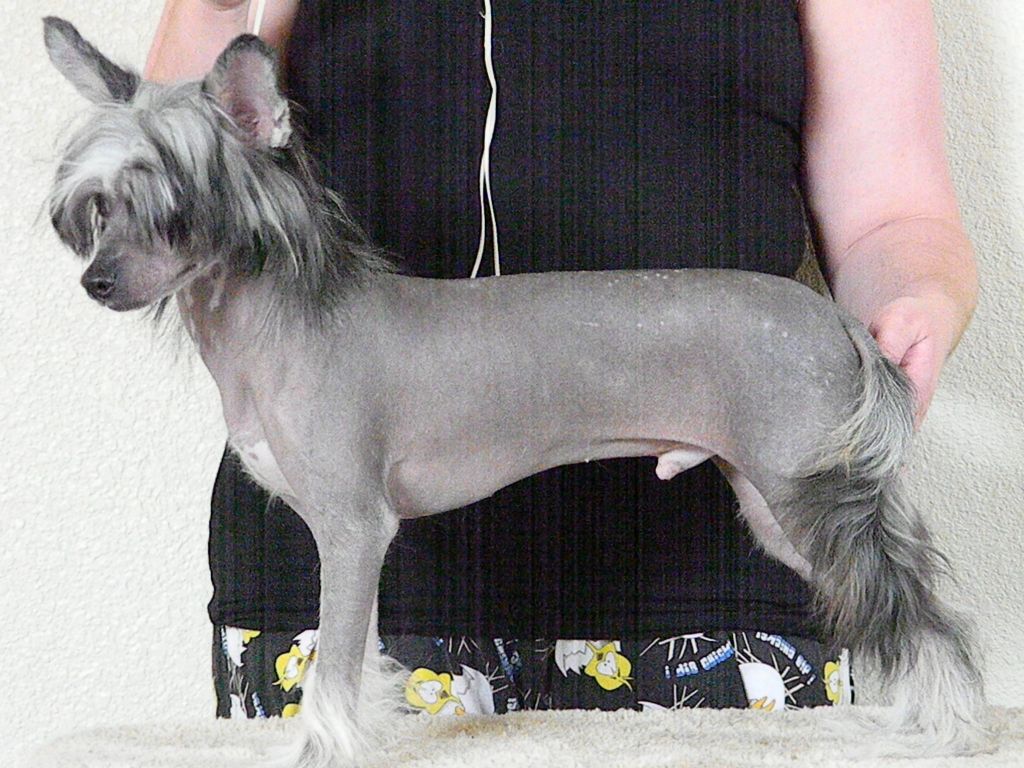 D'Nude's Spooktacular