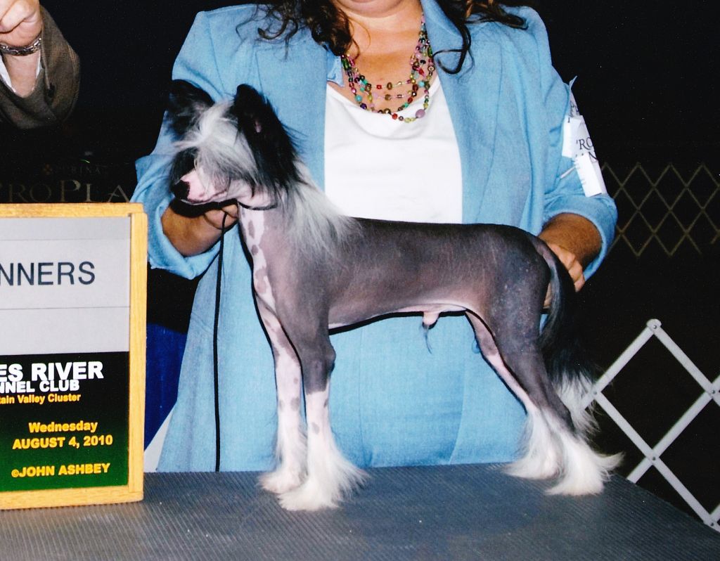 Diva's One in a Million THL