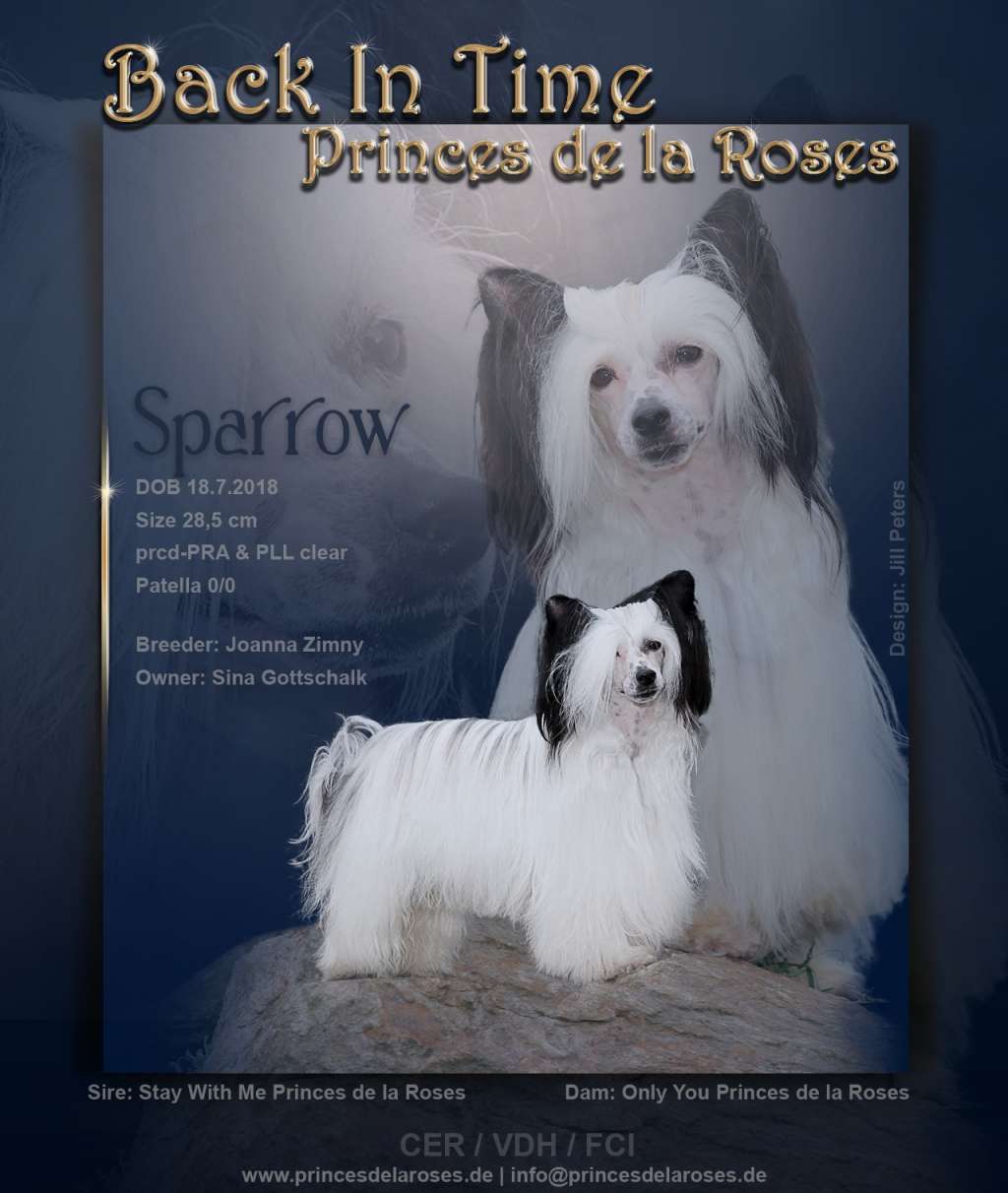 Back In Time Princes de la Roses