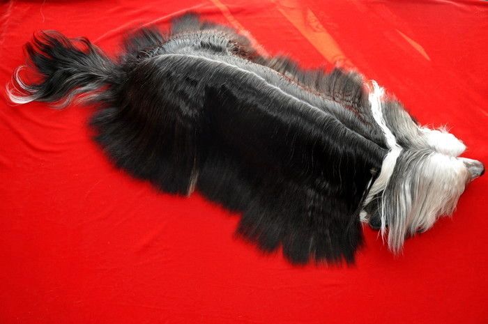 Secret Do Zakochania Jeden Krok