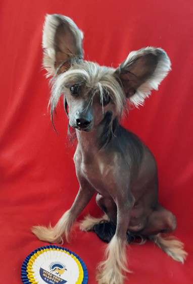 Heidi Sue Milfra-Moravia