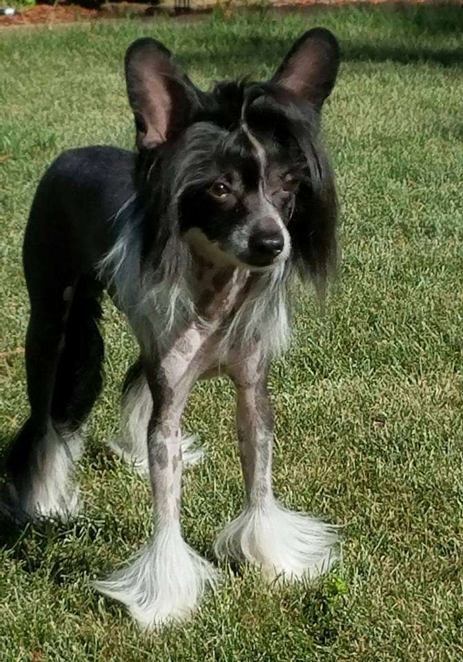 Tri-Lovin's Diamonds R Forever